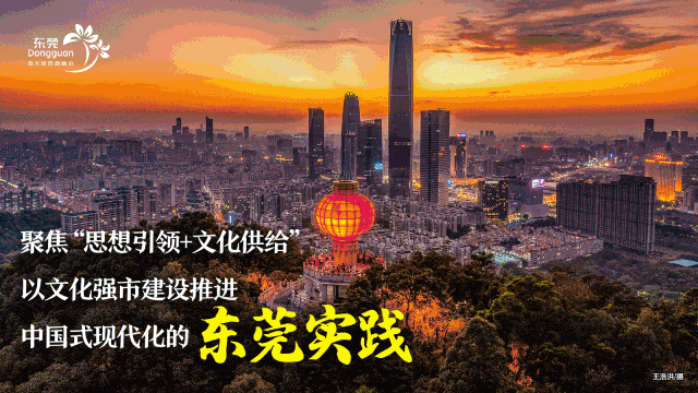 东莞公司变更推荐辰信会计 东莞公司变更推荐辰信会计